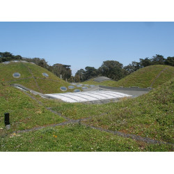 D2 Bloemrijk dakmengsel 