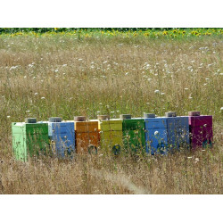 N1 Bloemrijk bijenmengsel 