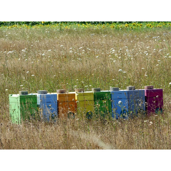 N1 Bloemrijk bijenmengsel 