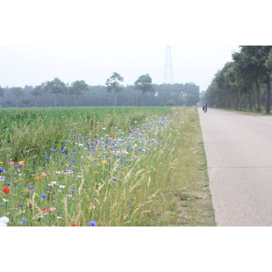 Dr2 Bloemenrijk droge gronden 50/50